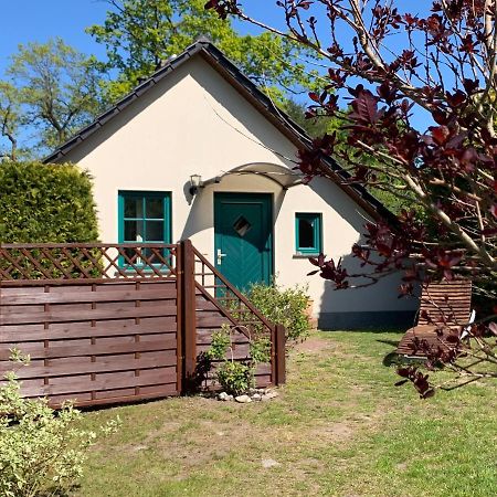 „Rentmeisterhaus Basedow“ Basedow  Екстериор снимка
