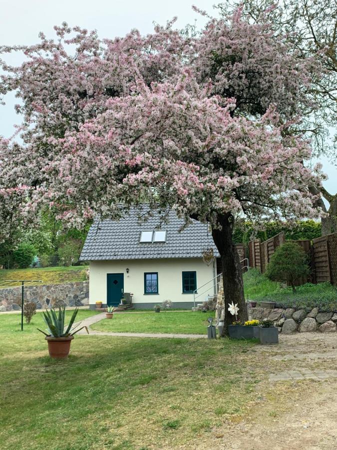 „Rentmeisterhaus Basedow“ Basedow  Екстериор снимка